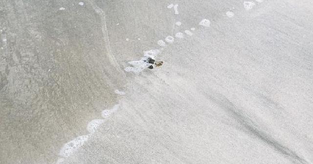 Sea and sand